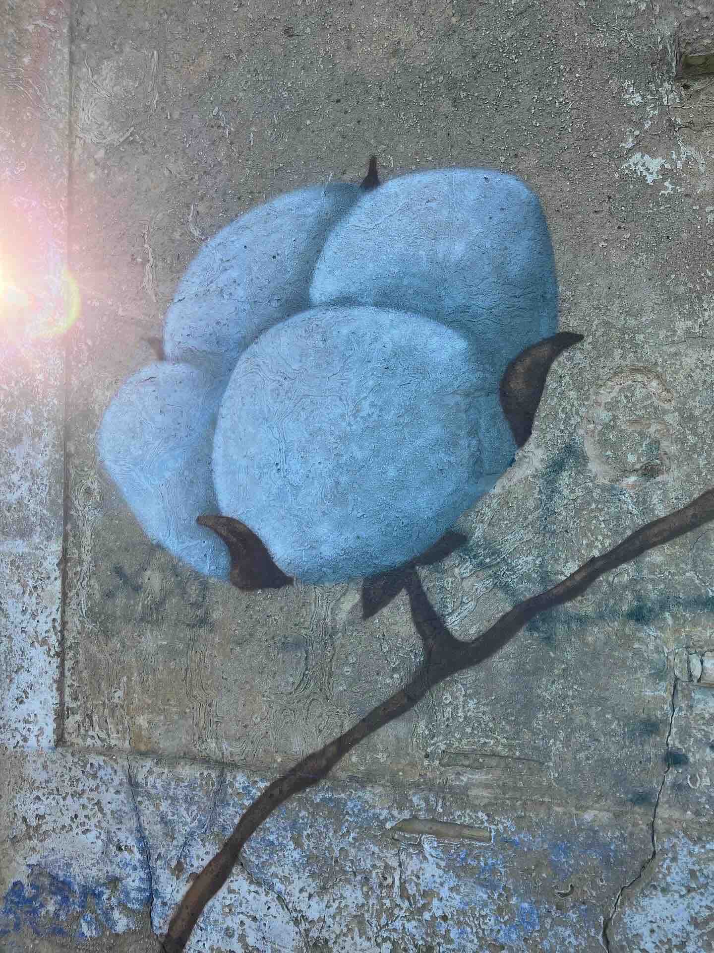 graffiti coton blanc