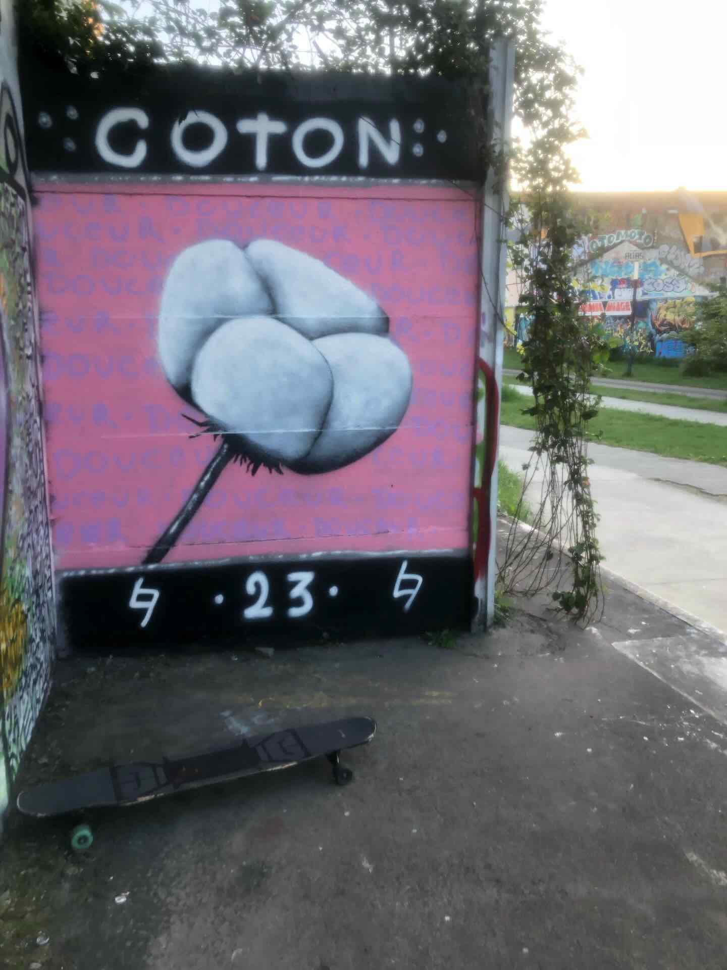 Graffiti coton rose