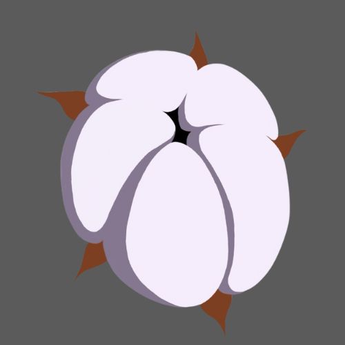 logo fleur de coton